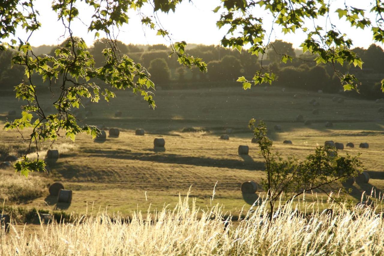 Domaine De Savigny Bed and Breakfast Saint-Saulge Esterno foto